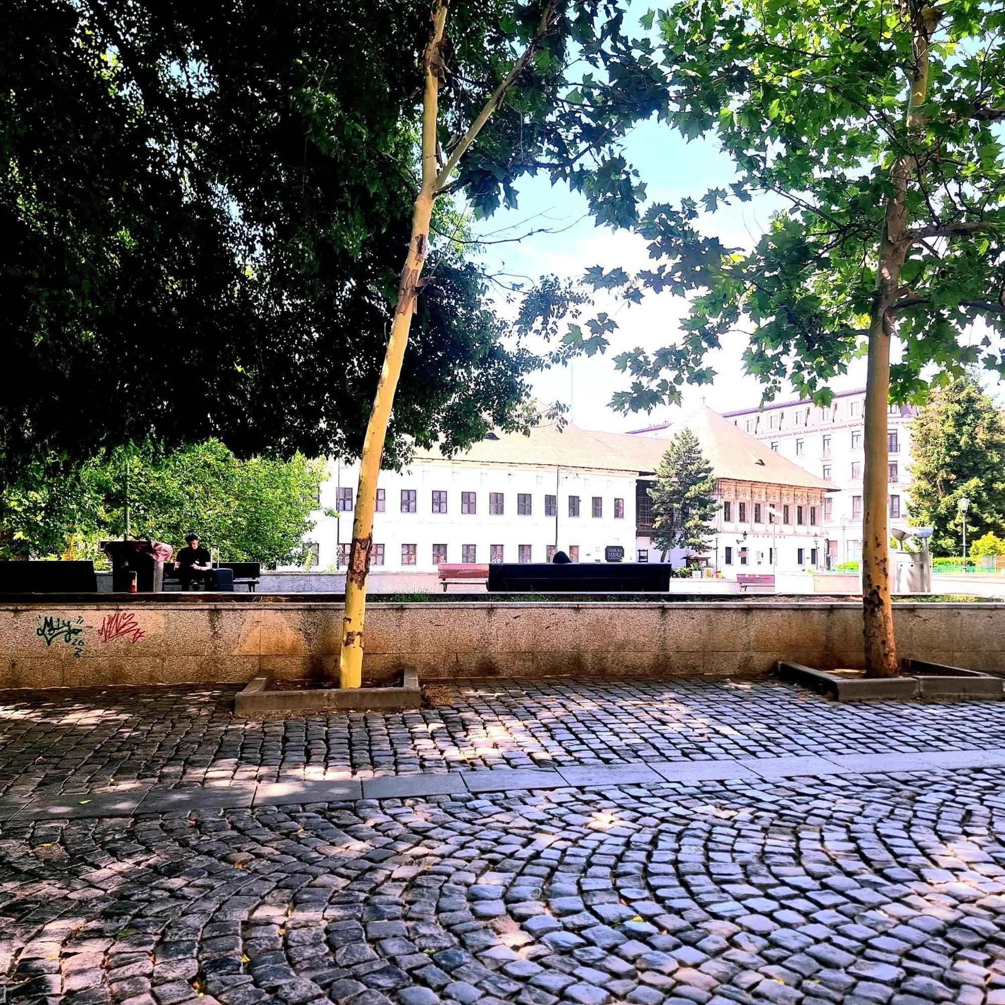 Enchanting Retreat - Historic Old Town - Pet-Friendly Haven - Steps From Unirii Bukarest Exterior foto